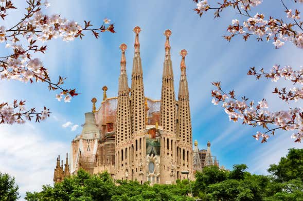 Visita guidata della Sagrada Familia