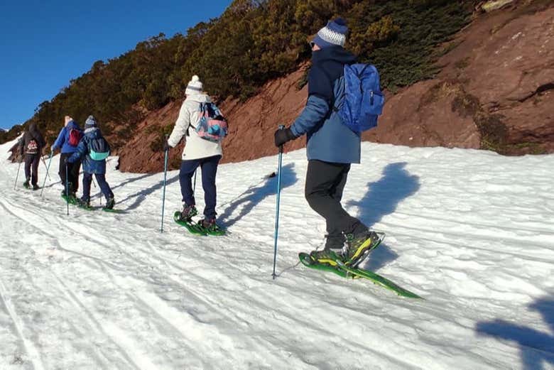Randonnée en raquettes à Castro Valnera
