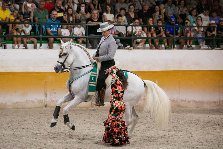 Un cavallo bianco vicino a una ballerina di flamenco