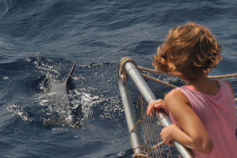 A bordo del catamarano