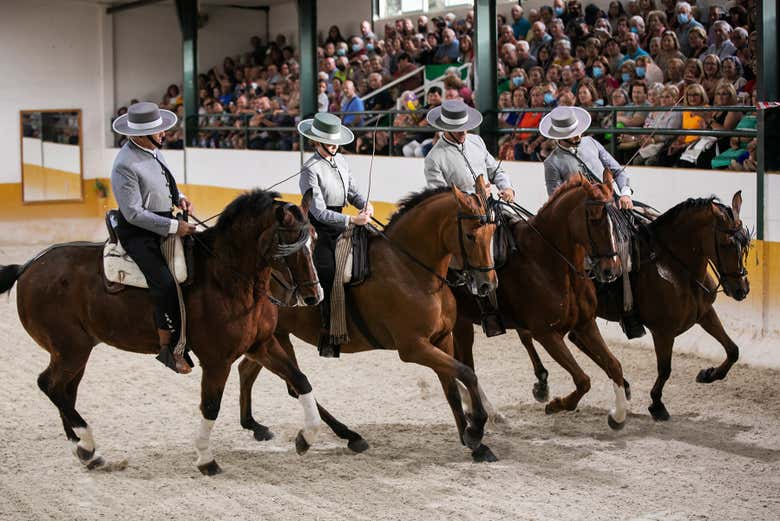 Admire the skillful riders and their beautiful horses
