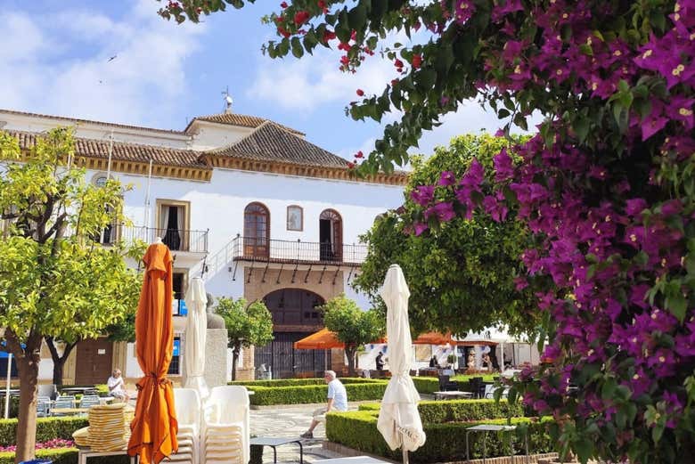 Plaza en Marbella