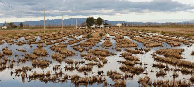 Ebro Delta Day Trip & Catamaran Tour