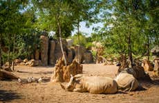 Escursione a Valencia + Bioparc