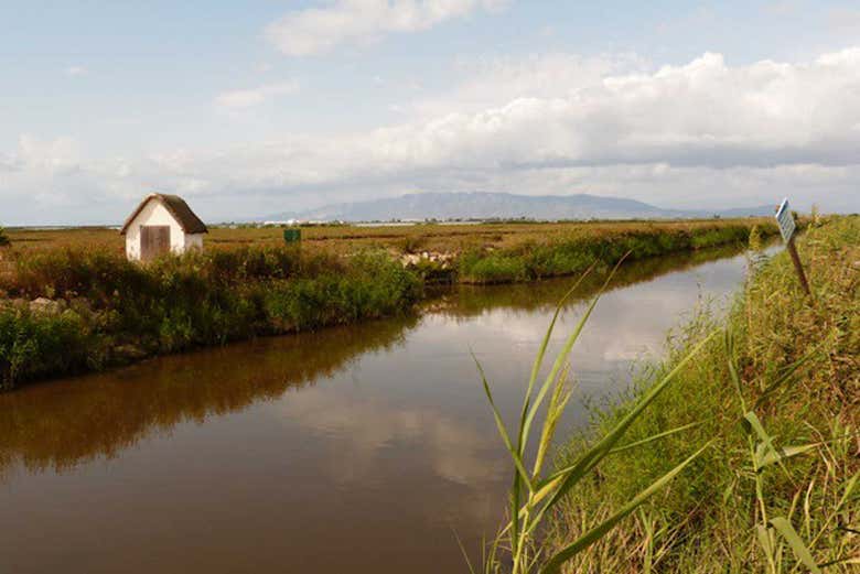 Ecosistema protetto del Delta dell'Ebro