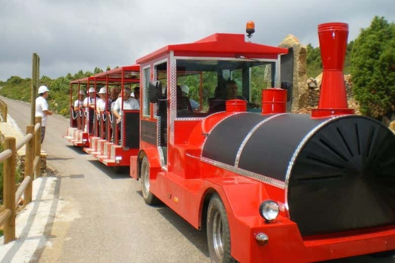 All aboard the mining train!