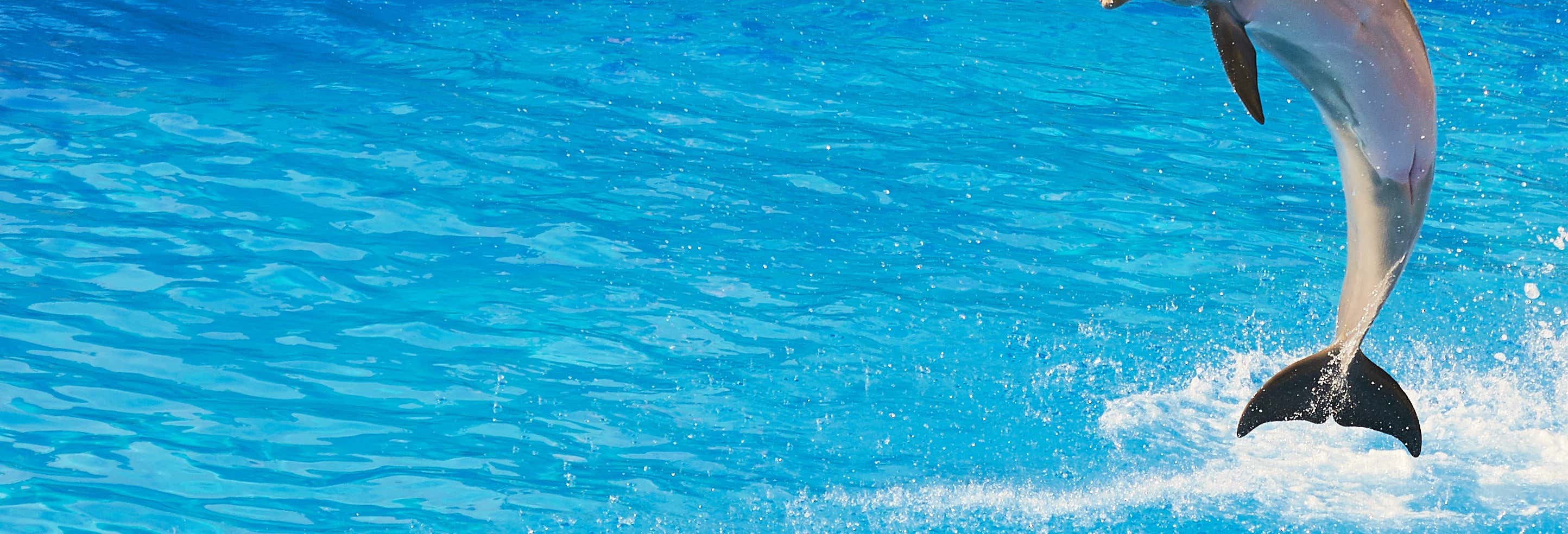 Bilhetes em Benidorm