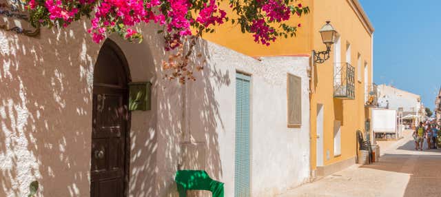 Excursão à ilha de Tabarca e palmeiral de Elche