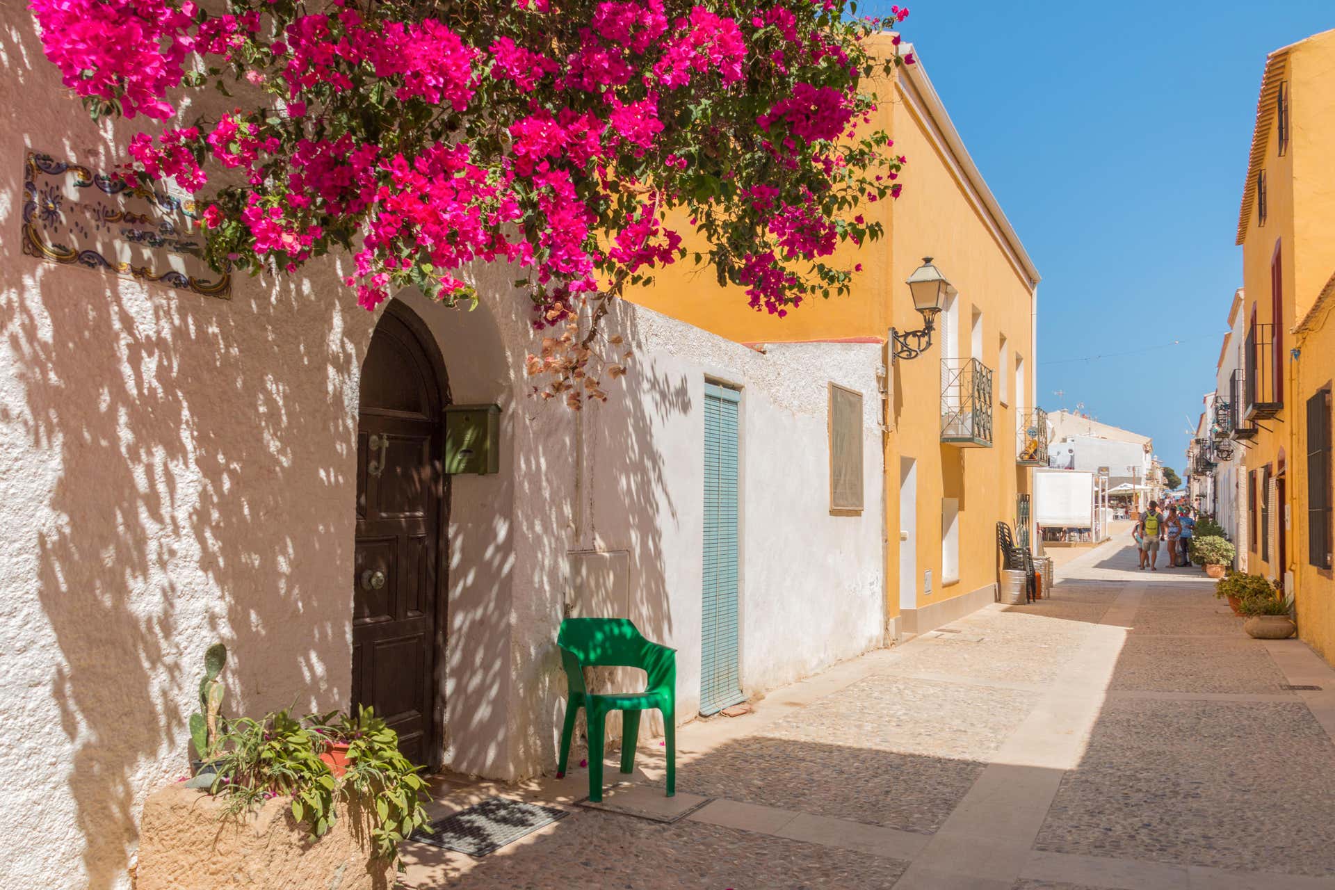 Excursión a la isla de Tabarca y palmeral de Elche