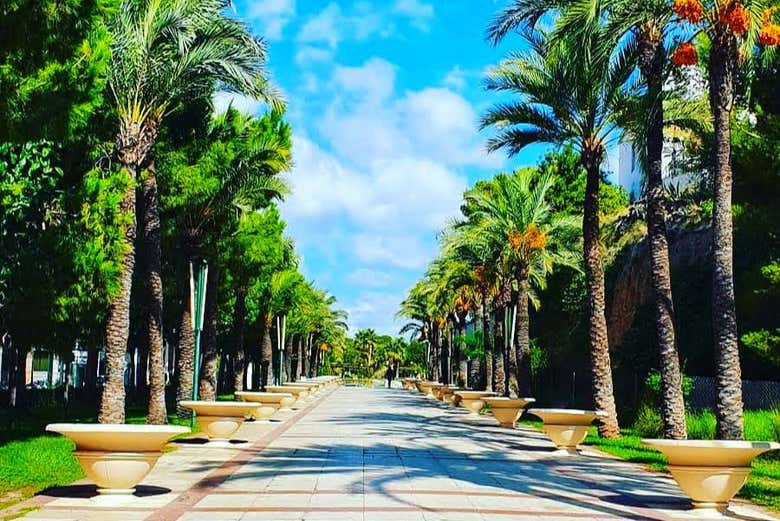 Tour de las leyendas de Benidorm