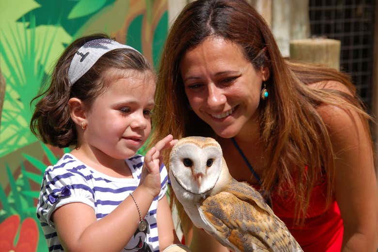 Meeting the animals at Terra Natura