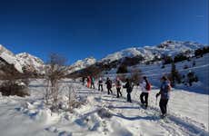 Paseo con raquetas de nieve por el Valle de Tena