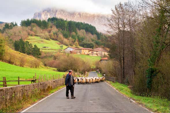 Elorrio, Onati, and Arantzazu Sanctuary Trip