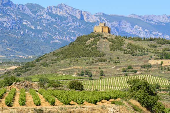 Excursión a Laguardia y Briones + Bodegas Murua