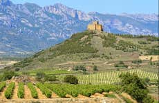 Excursión a Laguardia y Briones + Bodegas Murua