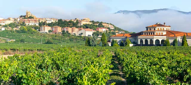 Laguardia and Haro Trip + 2 Wineries