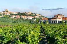 Excursión a Laguardia y Haro con visita a dos bodegas