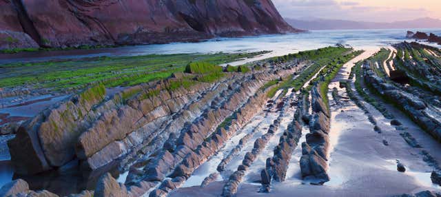 Excursión al Santuario de Loyola, Guetaria y San Sebastián