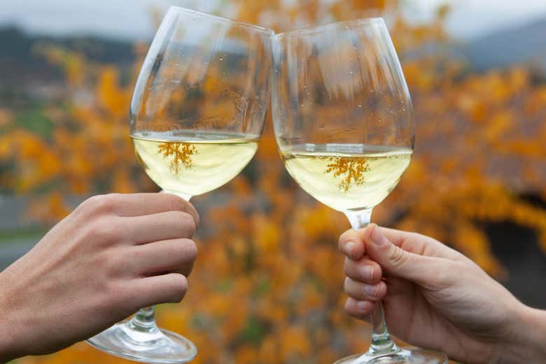 ¡A brindar con Txakoli!