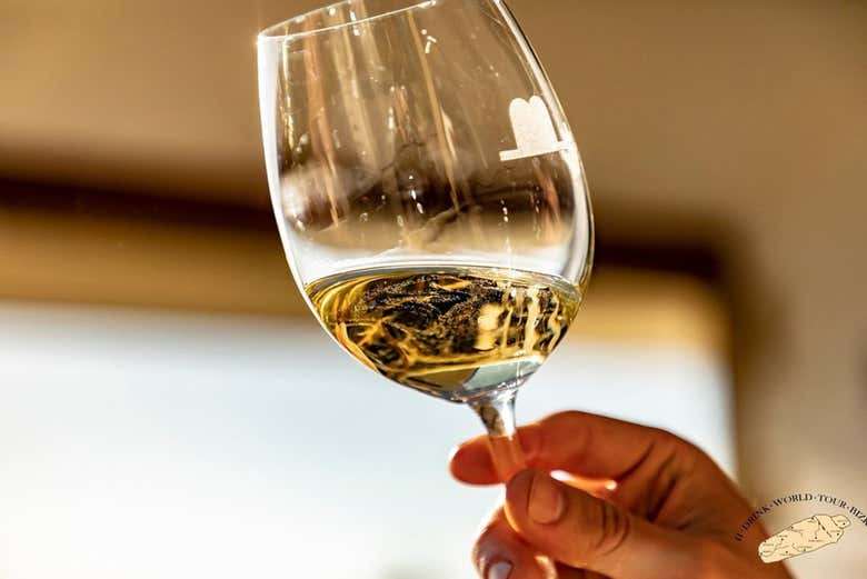 Una copa de Txakoli