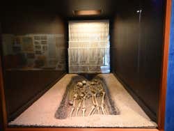 Fósil del Museo Vasco