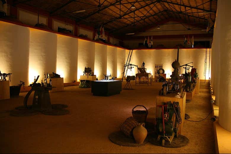 Bodega-Museo