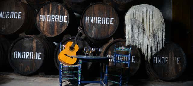 Visita a las Bodegas Andrade