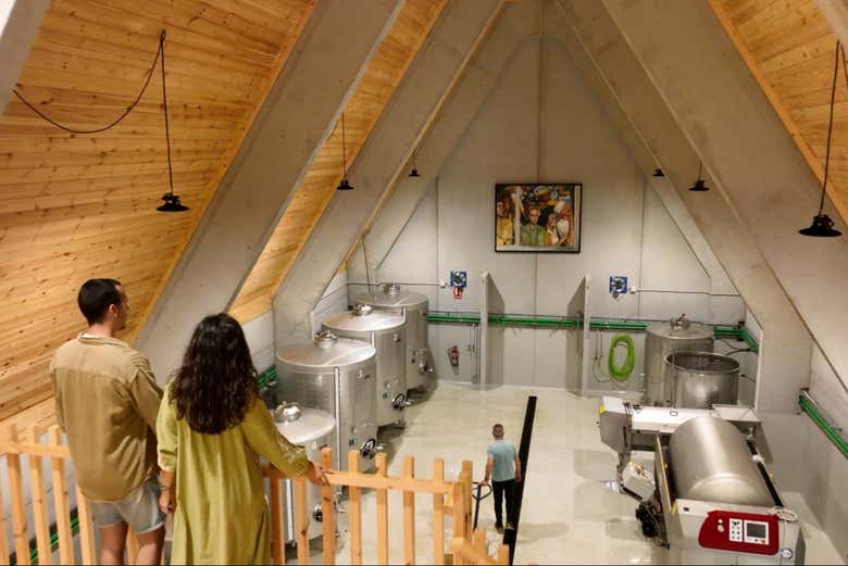 Descubriendo el proceso de elaboración de sus vinos