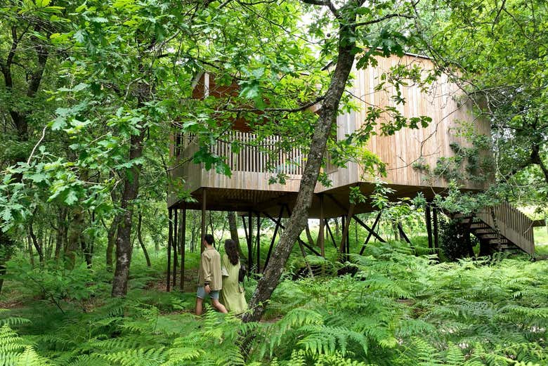 Paseando por la finca de la bodega