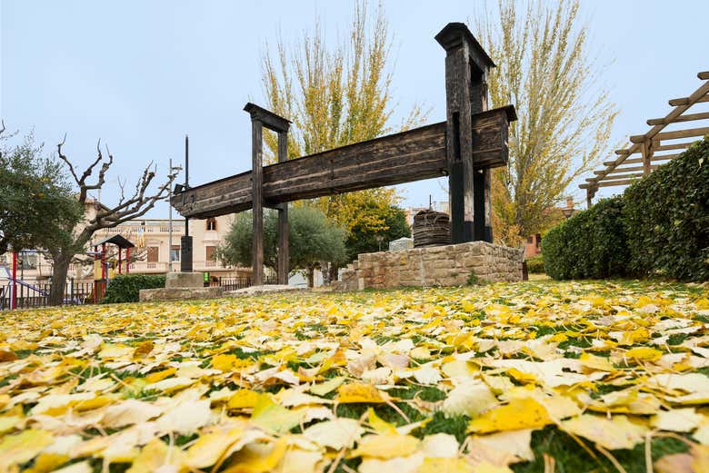 Visite du parc Terrall