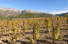 Visite du domaine viticole de Celler Cal Menescal