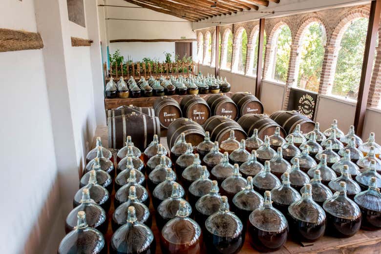 Percorreremos as diferentes instalações da vinícola