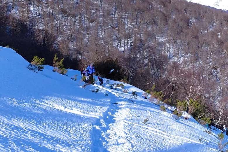 Paseo con raquetas de nieve por Alto Campoo, Brañavieja