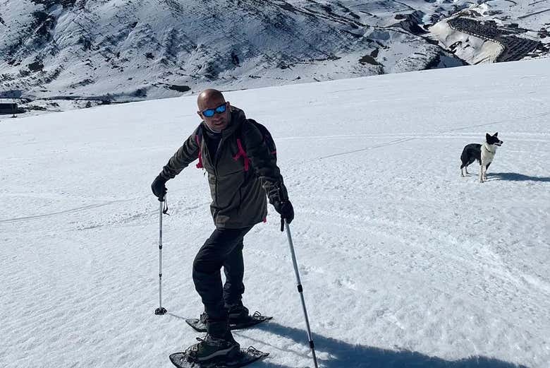 Passeio com raquetes de neve