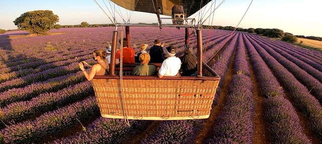 Paseo en globo por los campos de lavanda de Brihuega