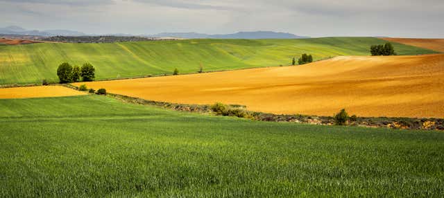 Senderismo por el valle del río Ungría