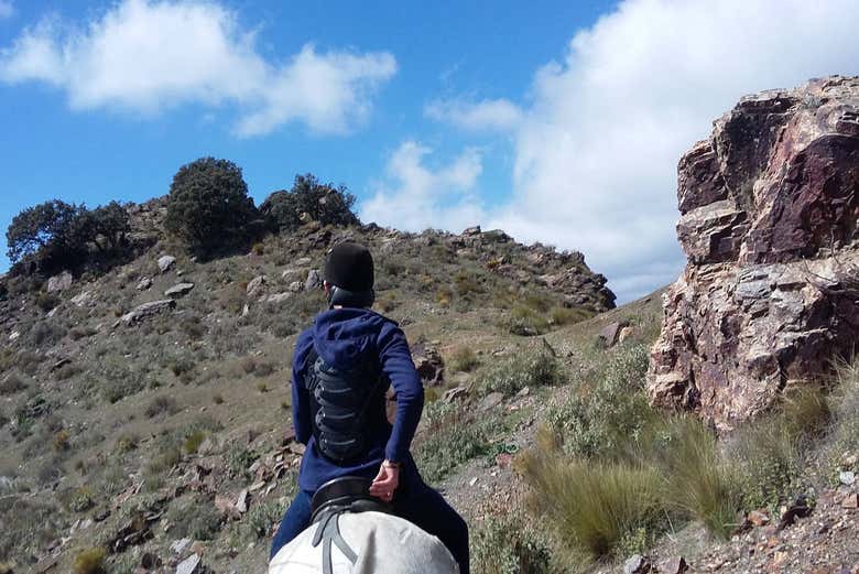 Passeggiata a cavallo