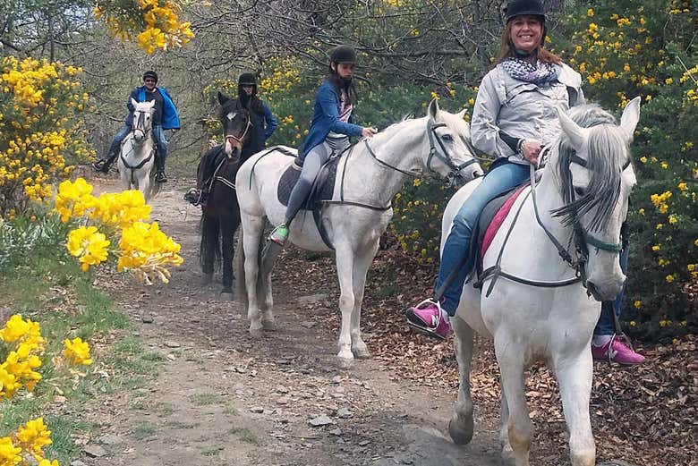 Cabalgando por la Alpujarra