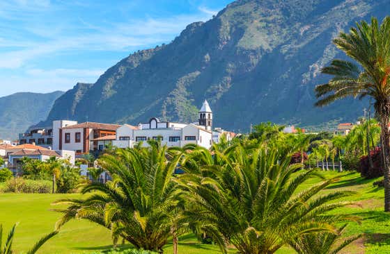 Buenavista del Norte