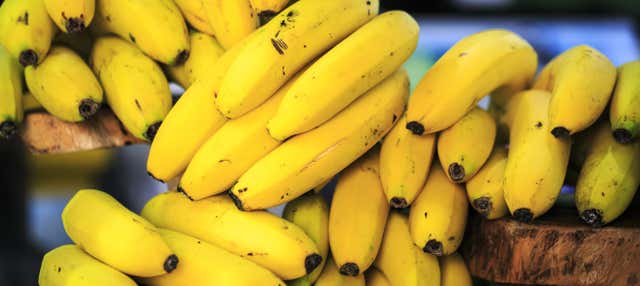 Banana Farm Free Tour