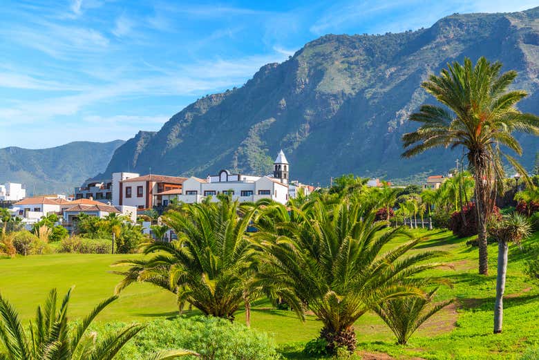 Vertiginose palme a Buenavista del Norte