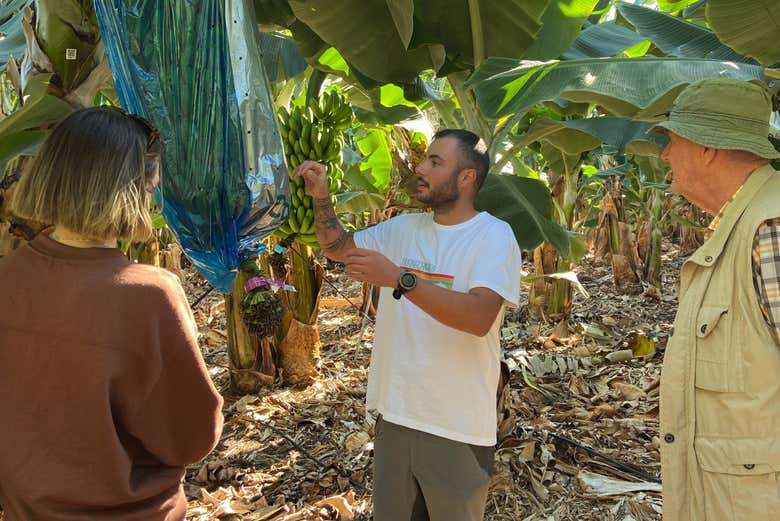 Atendiendo a las explicaciones del guía