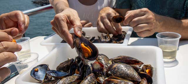 Paseo en barco por la ría de Pontevedra con degustación de mejillones