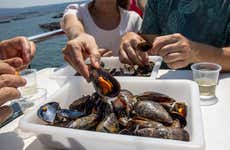Paseo en barco por la ría de Pontevedra con degustación de mejillones