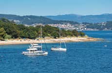Paseo en barco por la ría de Pontevedra con degustación de pulpo