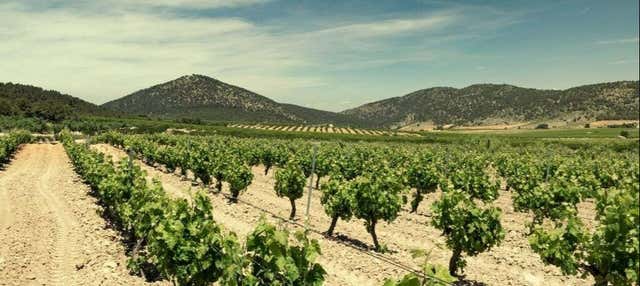 Visita a la bodega Balcona