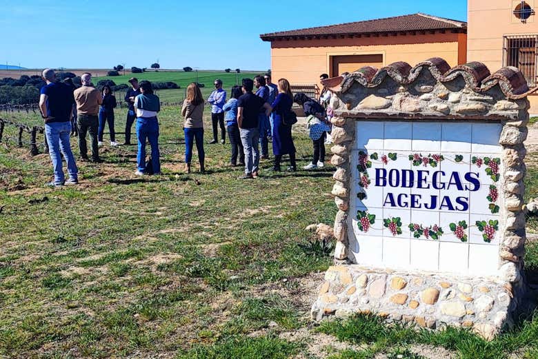 Atendiendo a las explicaciones del guía