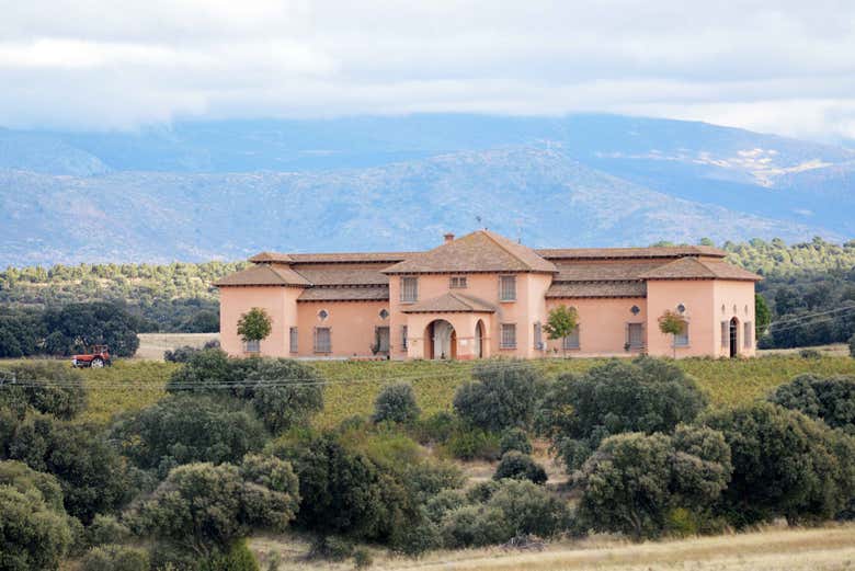 Panorámica de la bodega y los viñedos