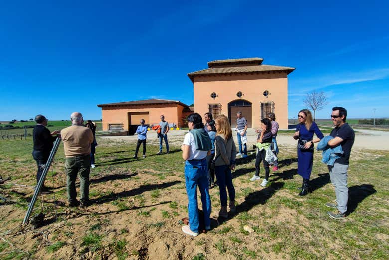 Visita un soleado día de primavera