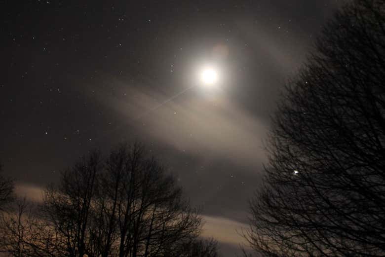 Lua iluminando o bosque vetão de Cabezabellosa